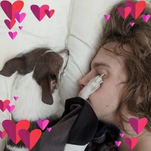 Meet your Posher, Jeffrey